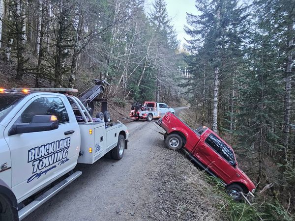 winching forest.jpg
