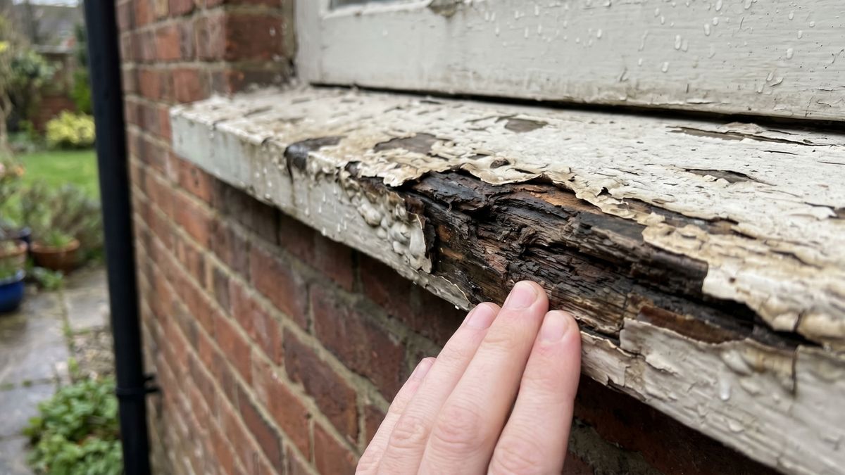 Warning Signs Your Window Sills are Rotting.jpg