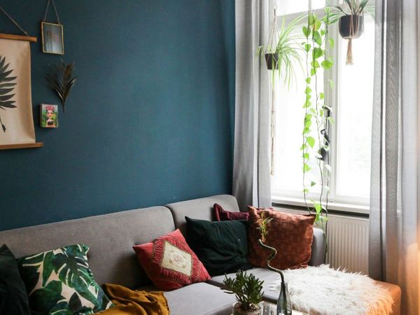 painted living room wall