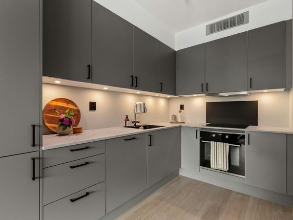 Sleek and modern grey kitchen cabinets