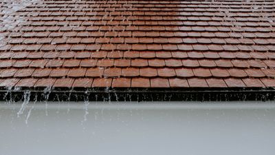 Long-Term Effects of Ignoring Hail Damage on Your Home.jpg