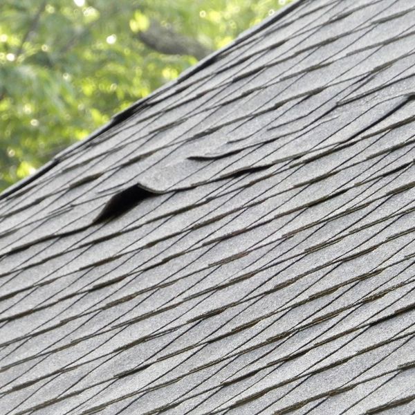 damaged shingles