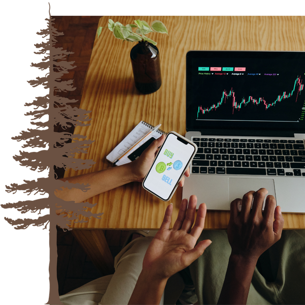 Doing finances on computer Doing finances on computer