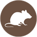 Pest Resistance Performance Pest Resistance Performance