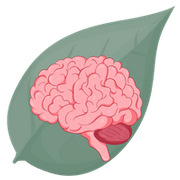 School-Age Care - Icon 1.png