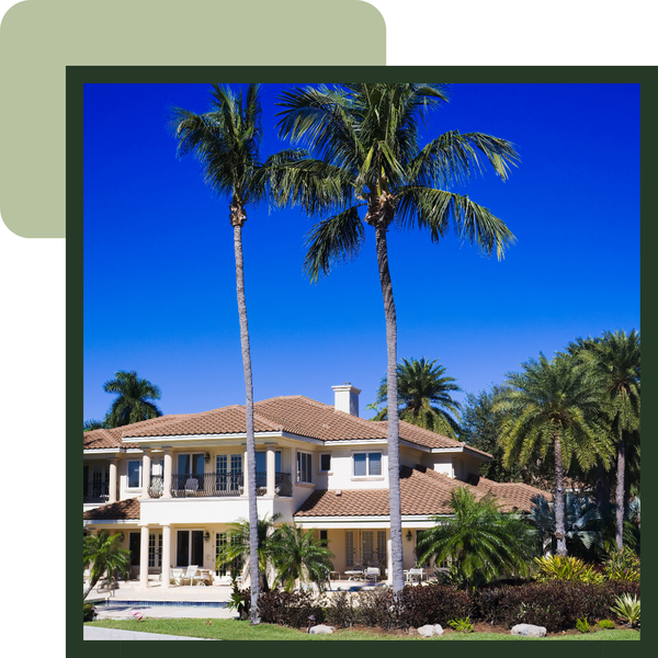 home exterior with palm trees in front yard home exterior with palm trees in front yard