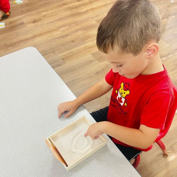 img of a student learning 1.jpg