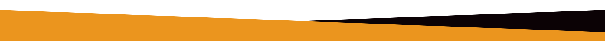 Orange Bar Top.png