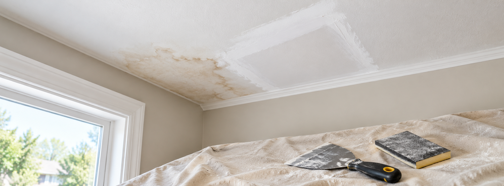 Water Damage Drywall Repair in Naperville | What to Do First.png