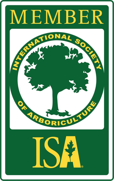 Member International Society of Arboriculture