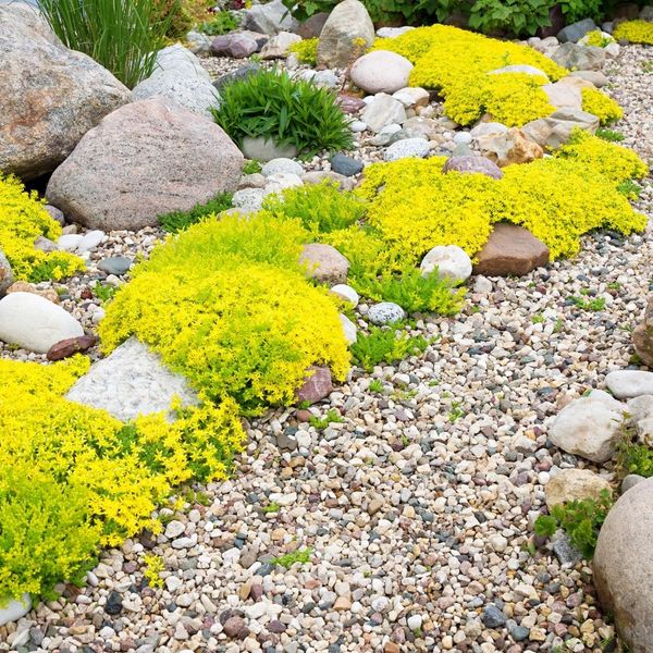 a complete outdoor rock garden