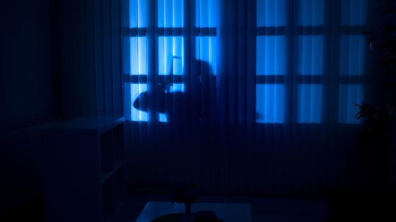 How to Safeguard Your Home Against Break-Ins.jpg