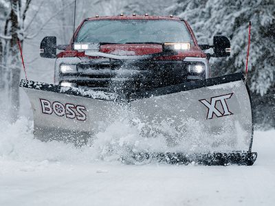 Steel BOSS XT XT.jpg
