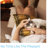 no time like the preasant.png