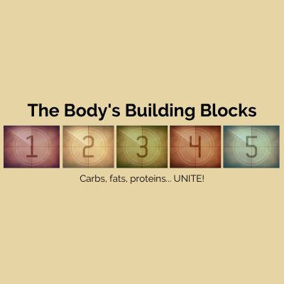 building blocks.png