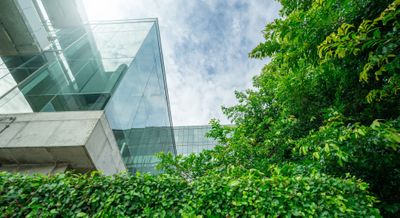 greenery outside large building