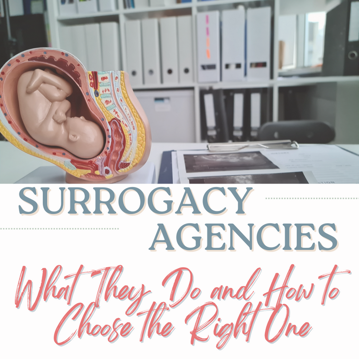 Blog Photo - Surrogacy Agencies What They Do and How to Choose the Right One.png