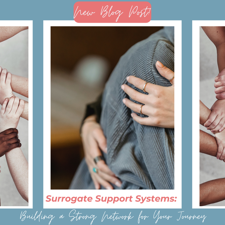 72 Blog Photo - Surrogate Support Systems.png