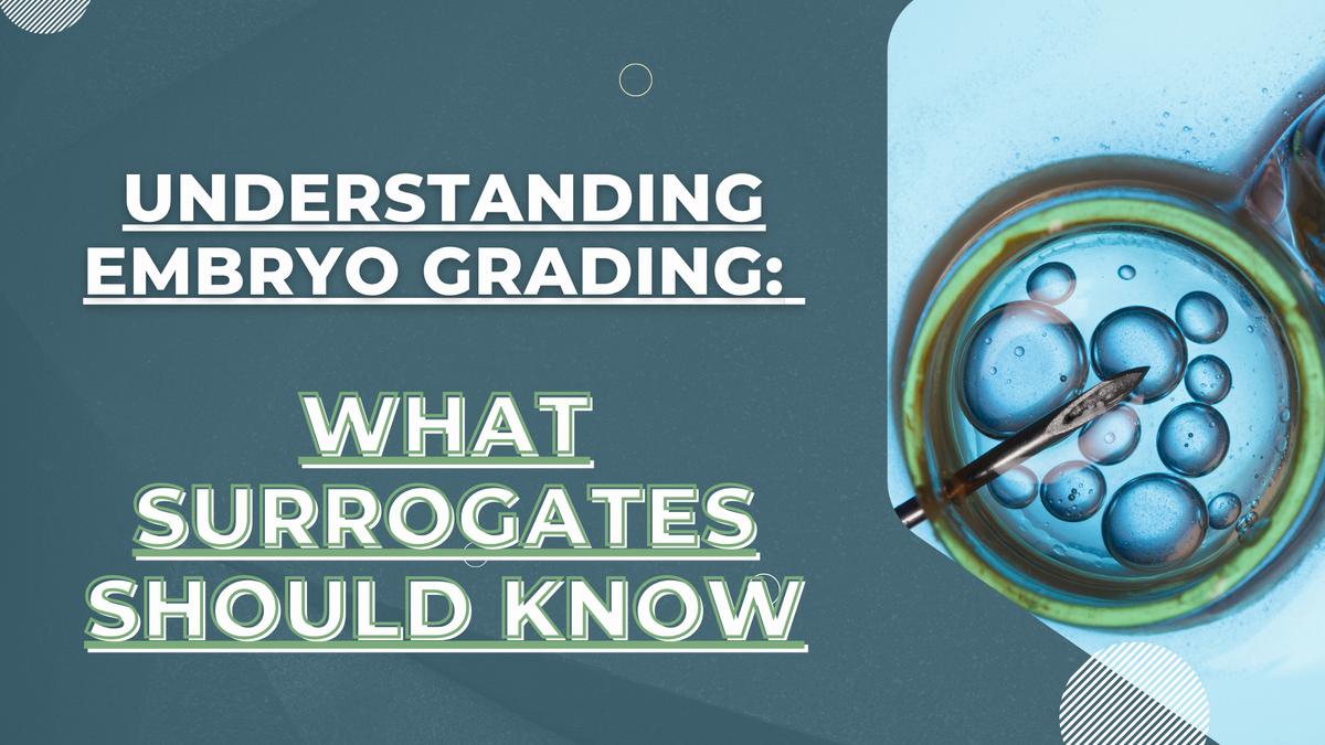 Understanding Embryo Grading What Surrogates Should Know.png