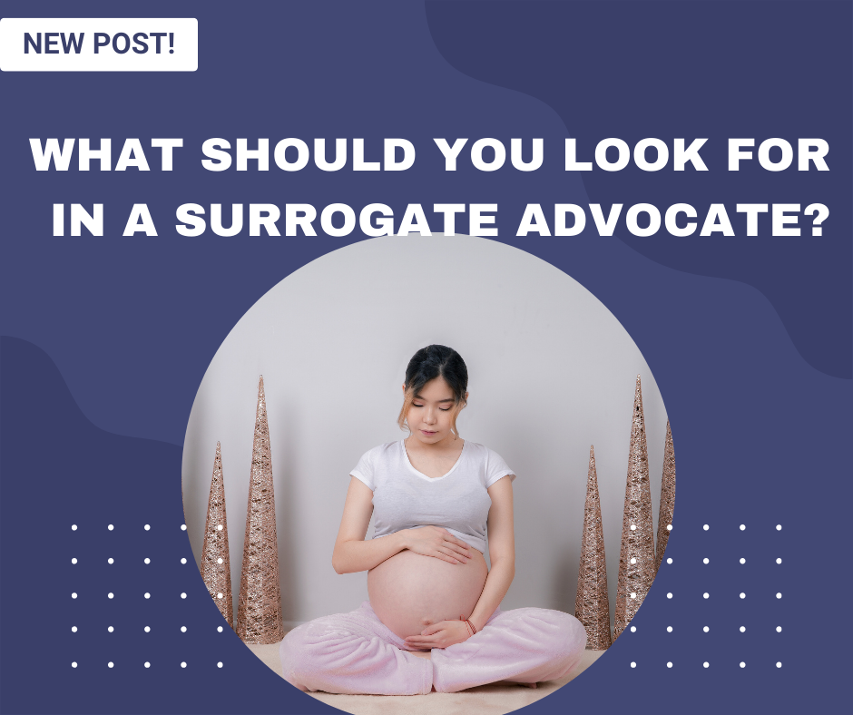 what should you look for in a surrogate advocate.png