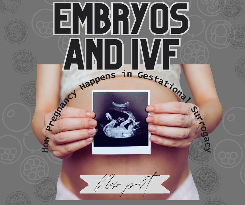 EMBRYOS AND IVF.png