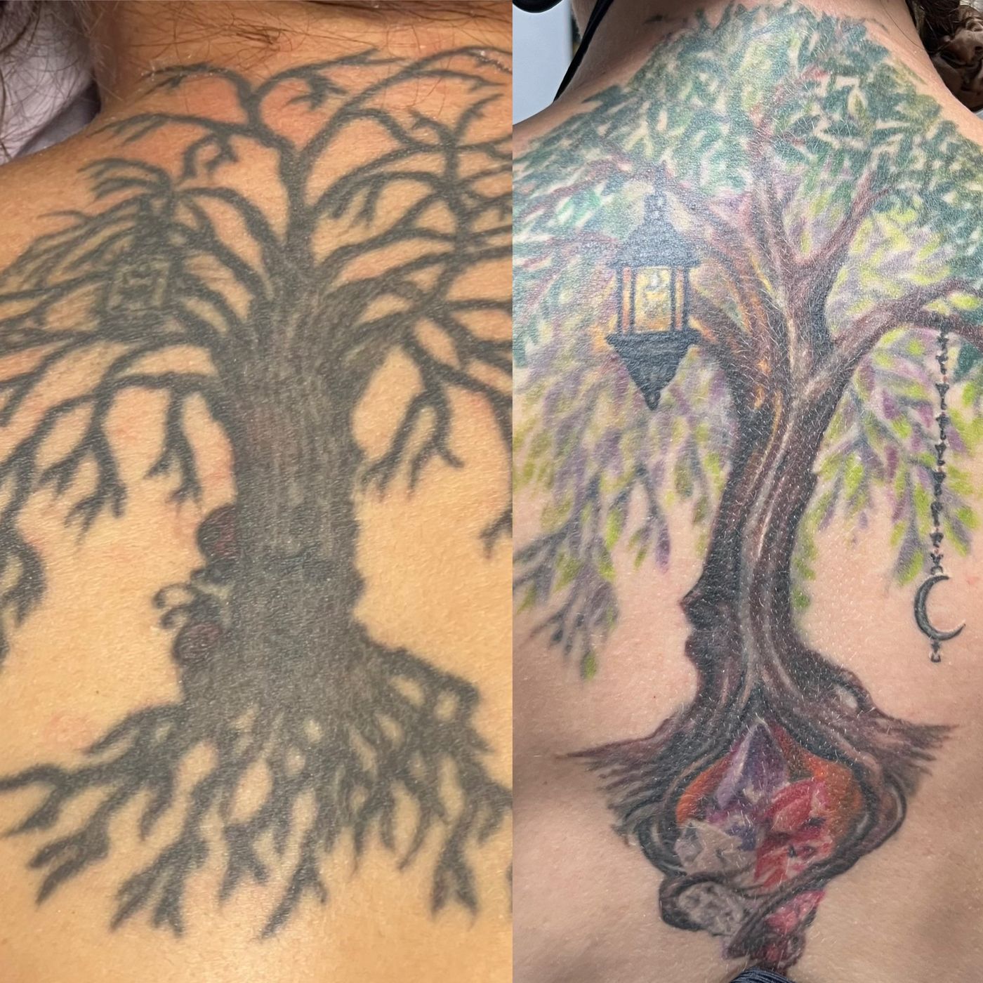 SarahGrassoTrees.JPG