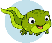 pollywog