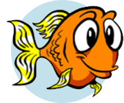 goldfish