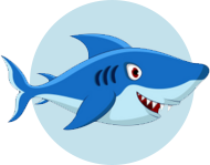 shark