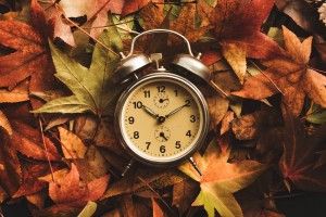 clock laying on top of leaves
