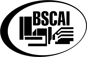 bscai-logo.png