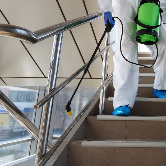 disinfecting the stairwell disinfect.jpg