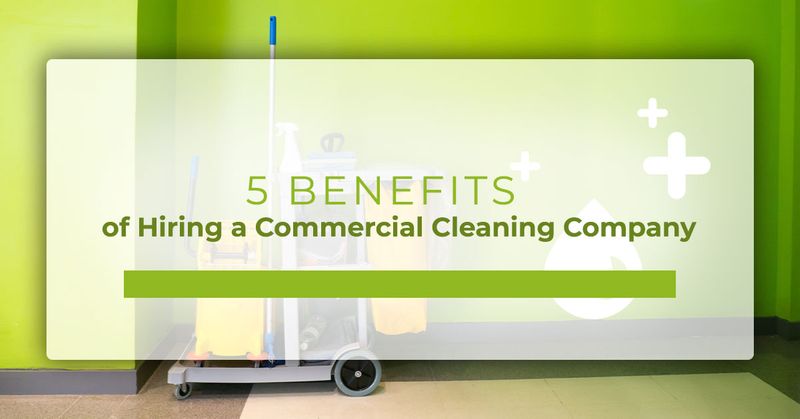 Move In / Move Out Cleaning Services