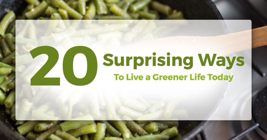 20-surprising-5a038b03a0201.jpg
