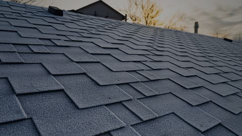 shingles