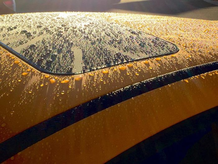 Water beading properties of Opti-Coat Pro Plus Opti-Coat Pro Plus water beading