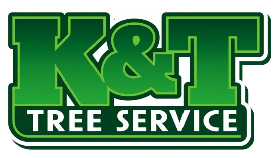K&T Tree Service