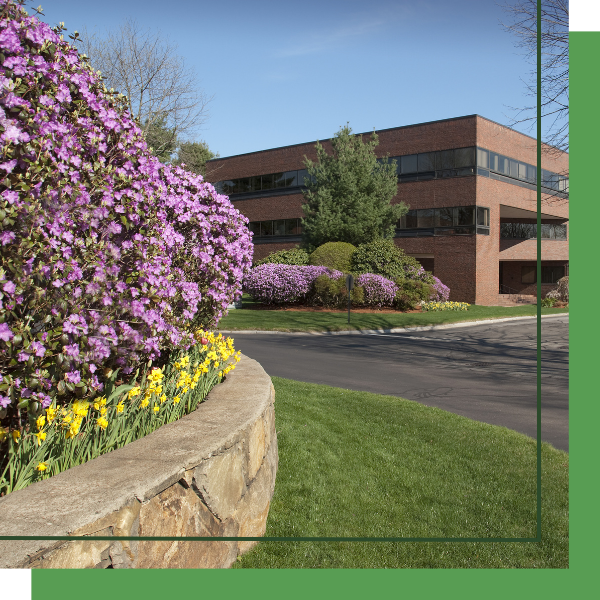 landscaping outside of a business