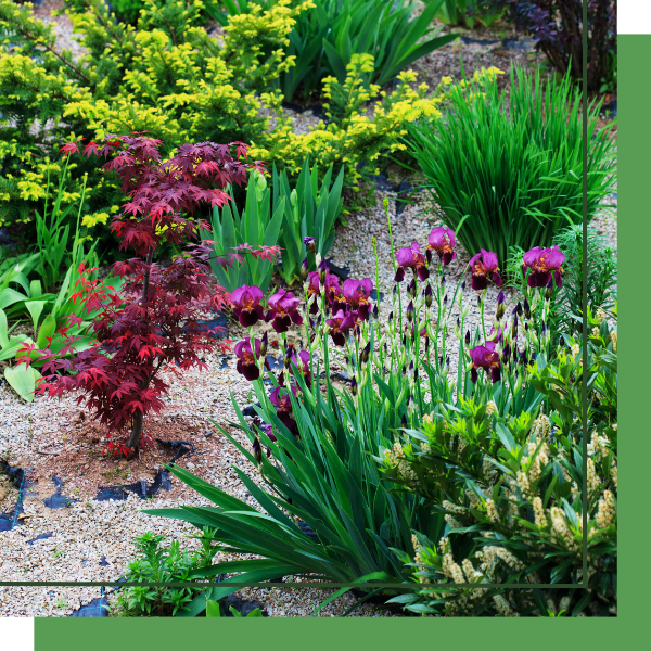 flower bed landscaping