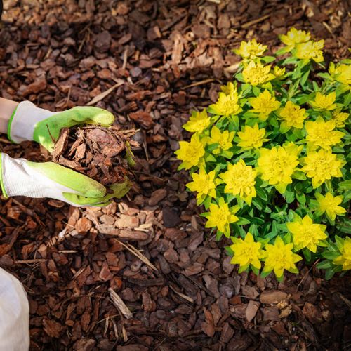 flower bed maintenance 