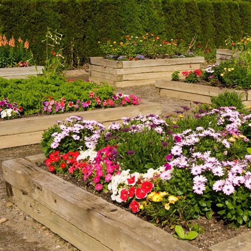 raised flowerbeds