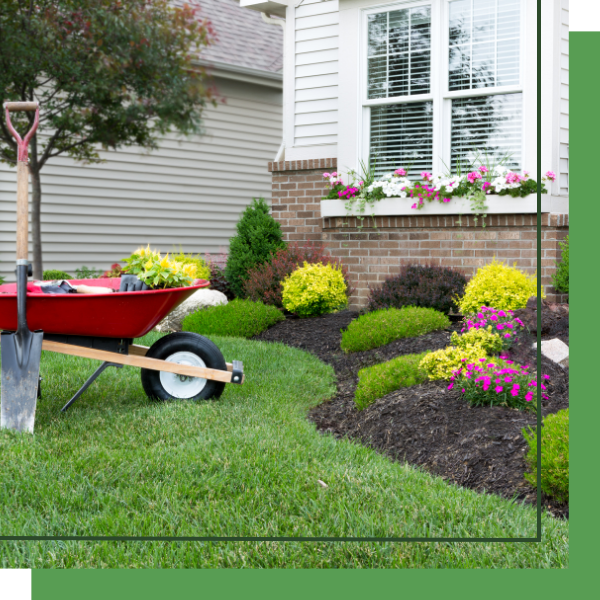 flower bed installation