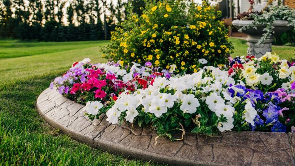 flowerbed incorporated within landscaping