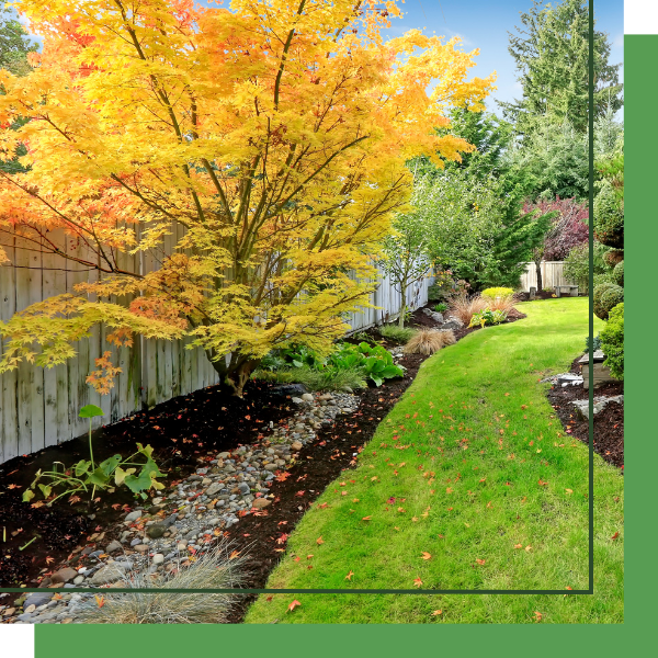 rock drainage in a backyard