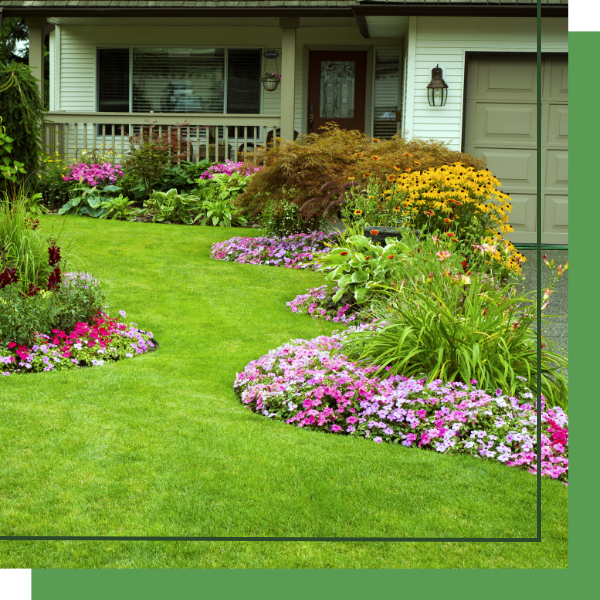 front yard landscaping