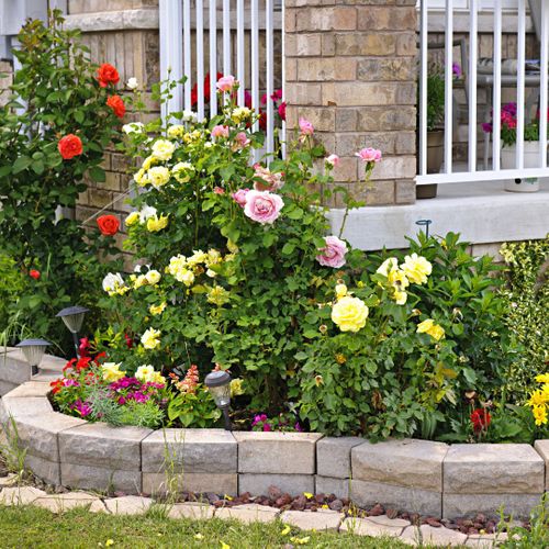 residential flower bed