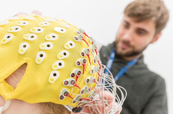 EEG2.jpg