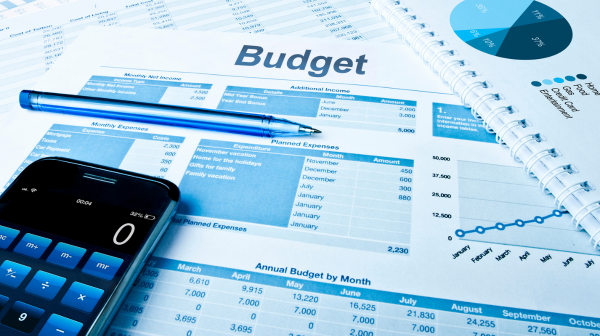 Analyzing Financial Reports for Budget Assessments