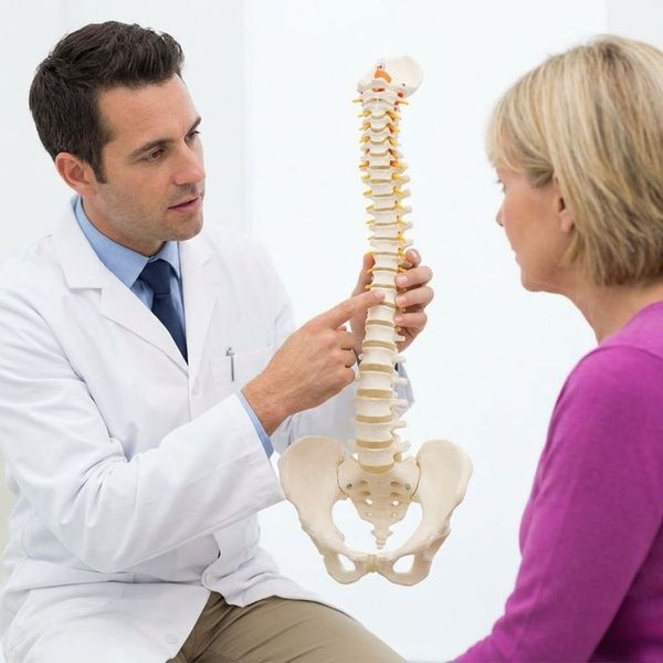A clinical specialist using an anatomical spine model to explain findings to a seated patient.