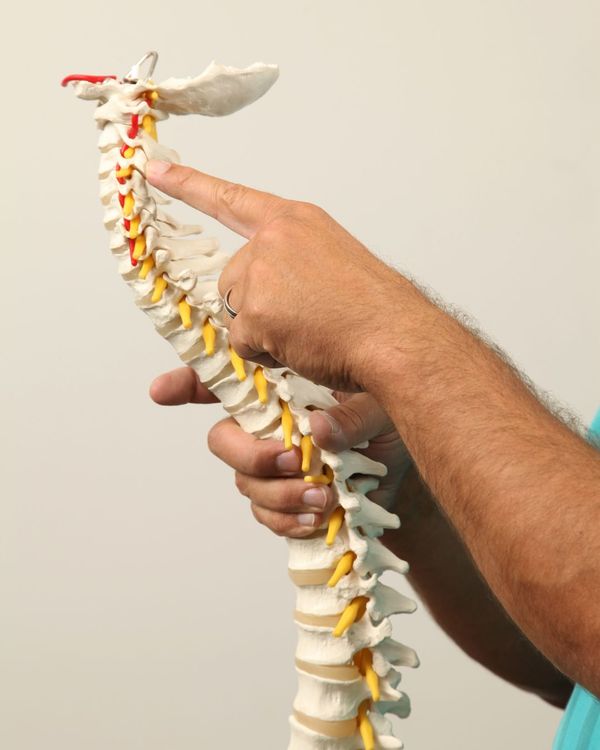 Hand points at spinal model